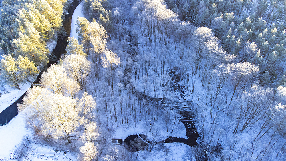 Gdzie odpuszczamy zimą Nordic Walking