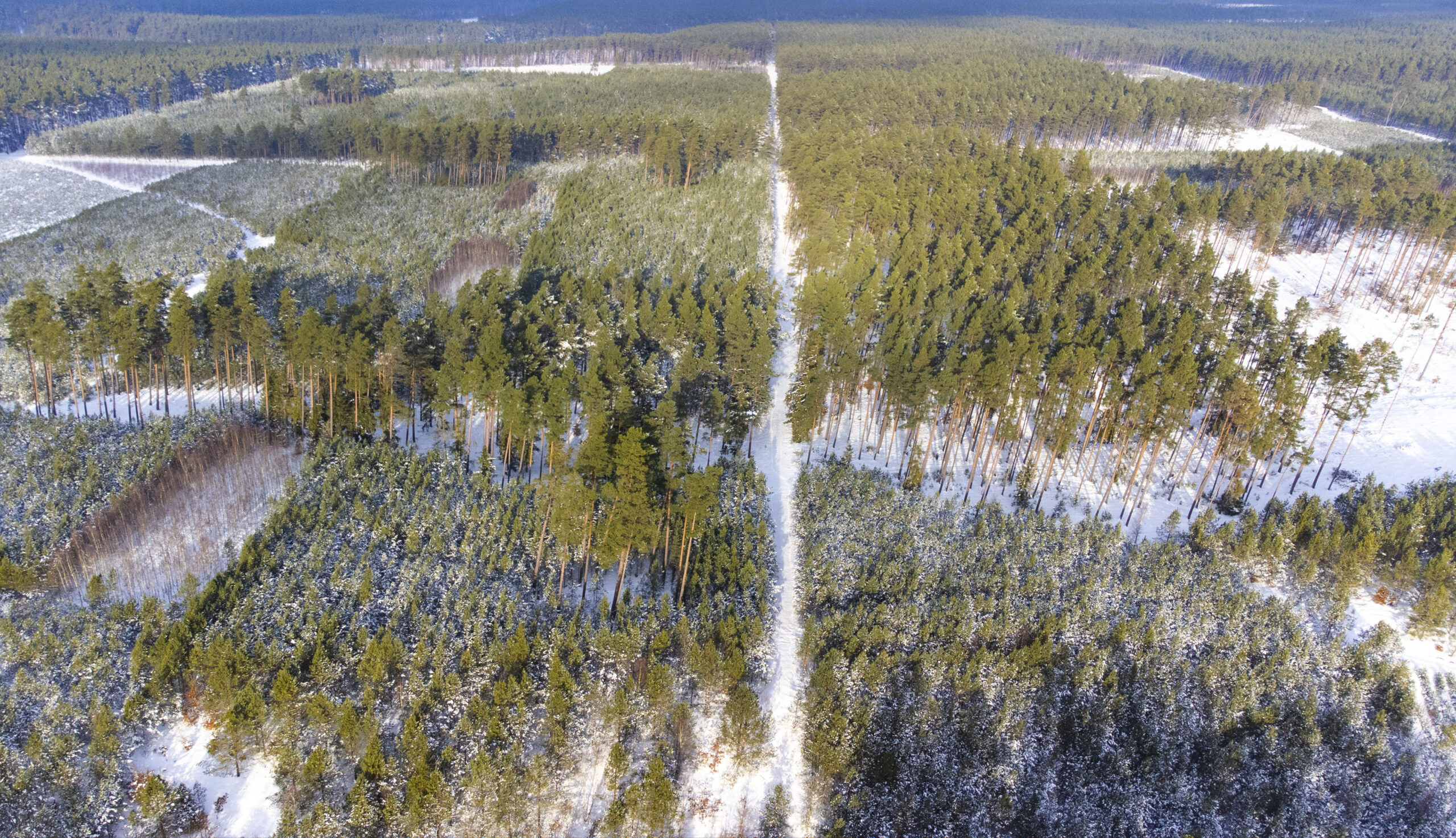 Ranking treningowych tras Nordic Walking