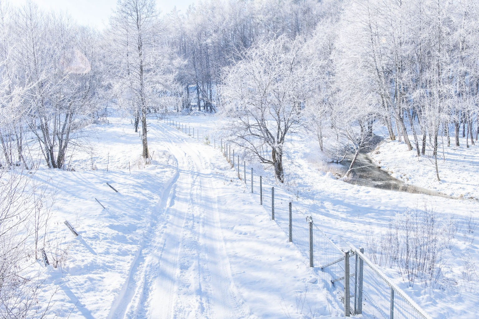 Ranking tras – znamy wyniki głosowania